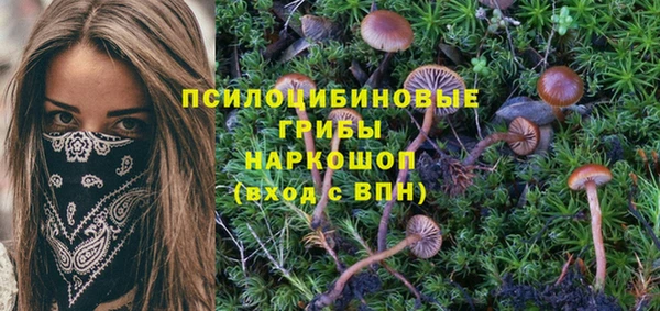 спиды Нязепетровск