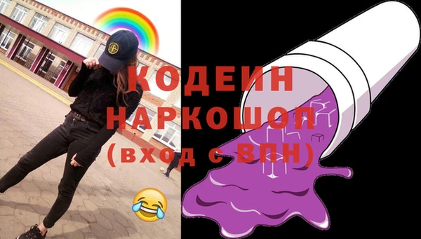 прущий лед Няндома