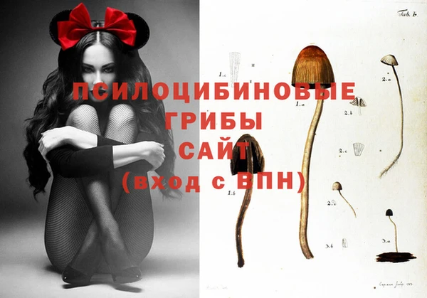 прущий лед Няндома