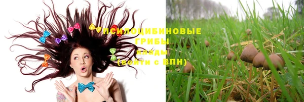 дурь Нягань