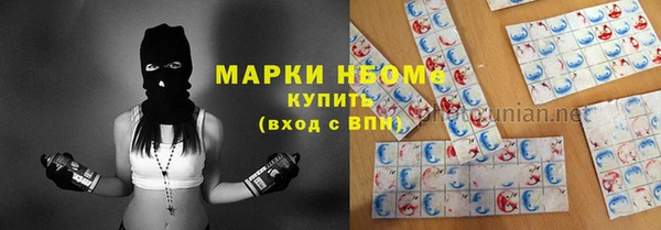 прущий лед Няндома
