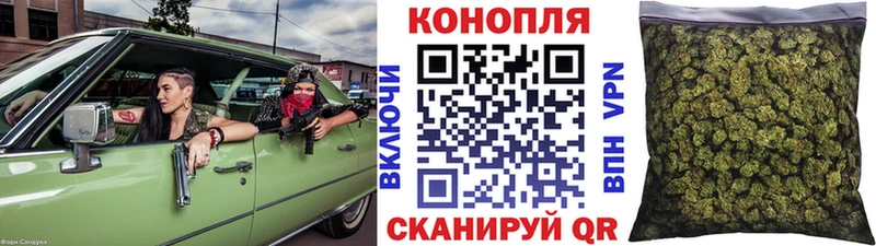 Бошки Шишки сатива как найти наркотики блэк спрут ССЫЛКА Туран